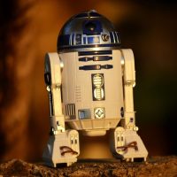 pexels-onewayupfusion-2085831